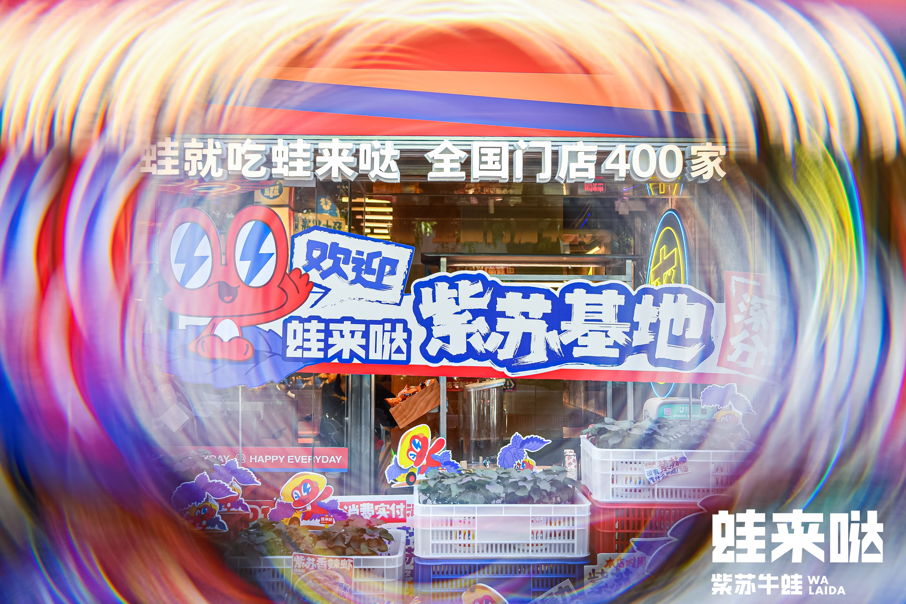 蛙來(lái)噠 蛙來(lái)噠