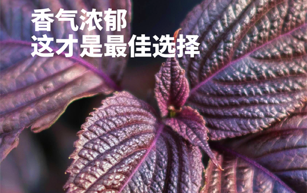 蛙來(lái)噠